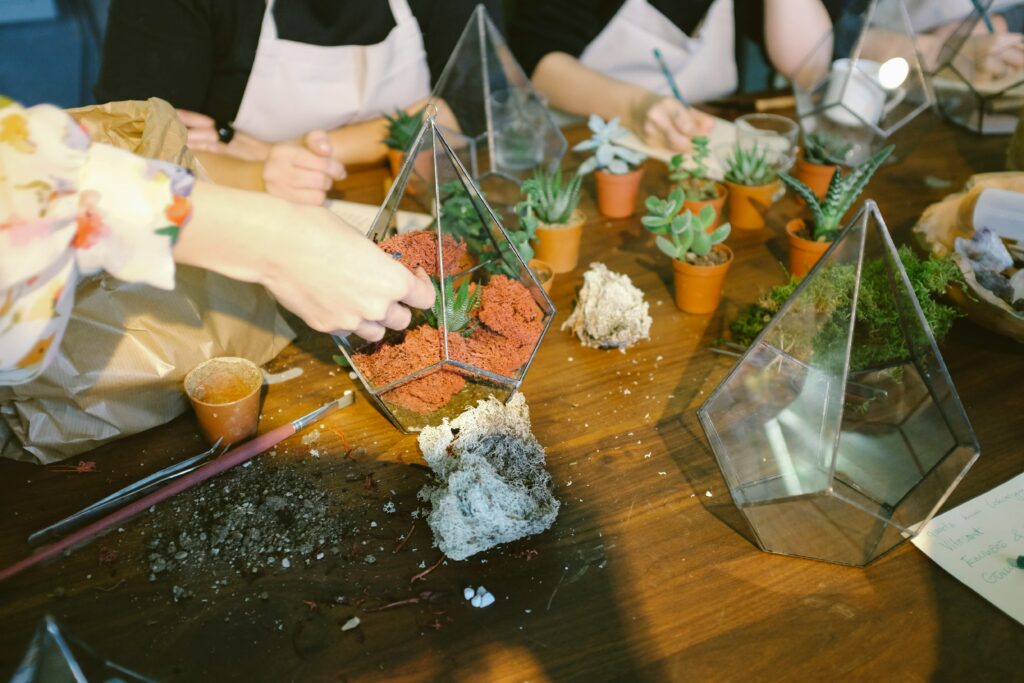 Atelier terrarium